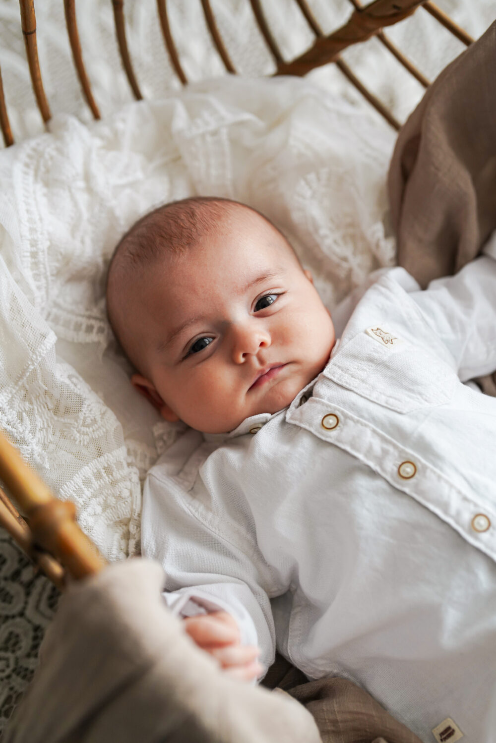 Marius – Image 2